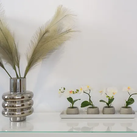 Apartamento Harmony Elegant